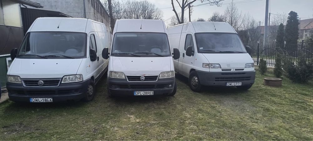 Transport i przeprowadzki, wynajem busa, uslugi transportowe Wołów
