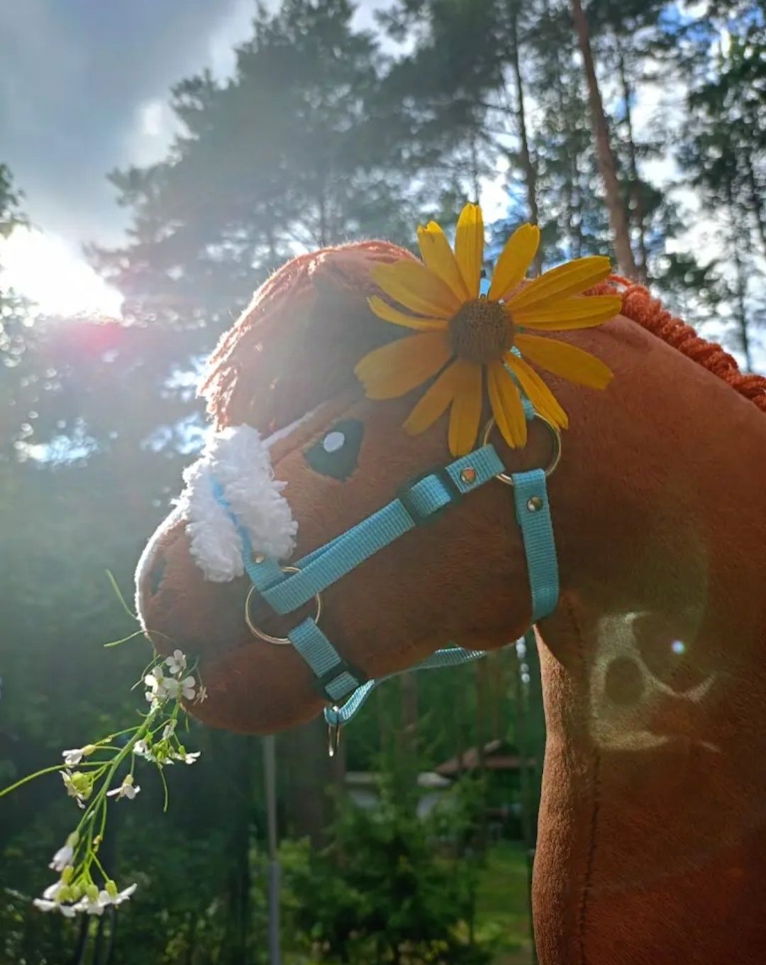 Hobby horse ze sprzętem na sprzedaż!