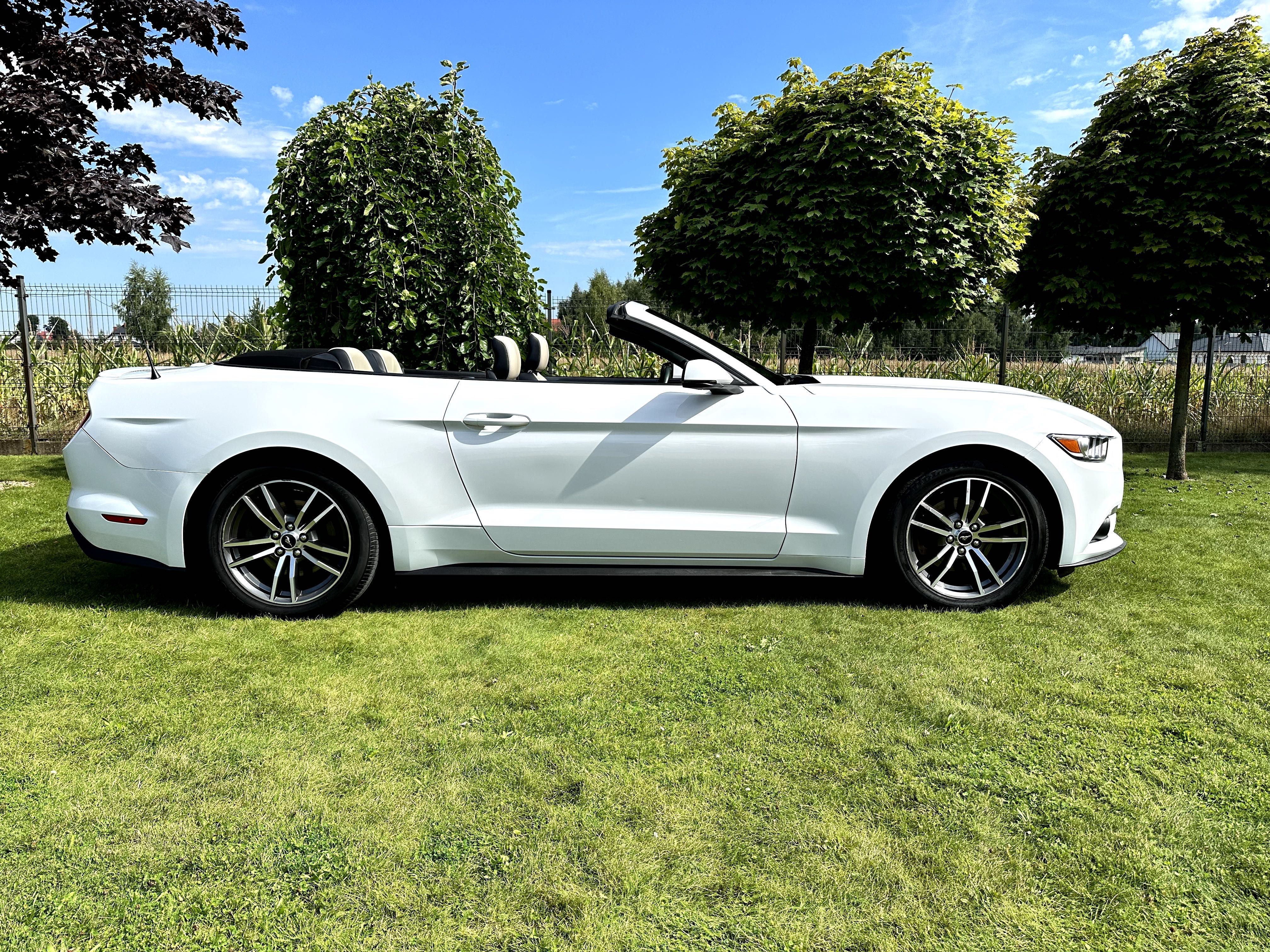 Mercedes Camaro AudI BMW Mustang Cabrio wynajem aut wypożyczalnia FV
