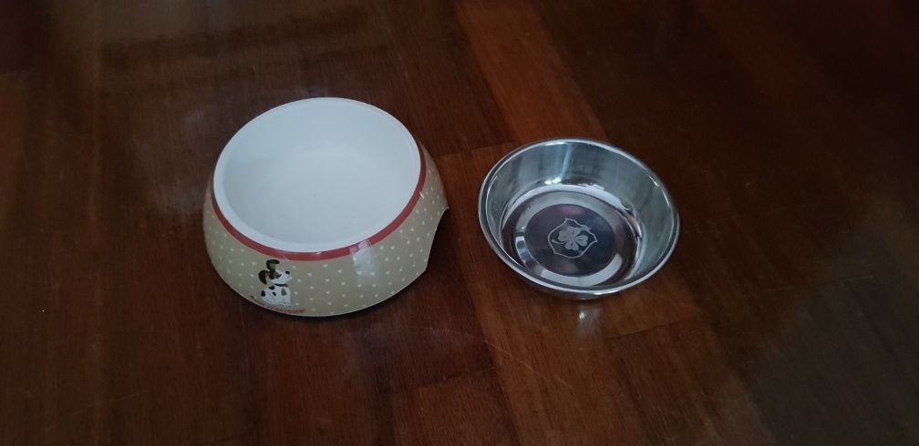 Assesorios para cães
