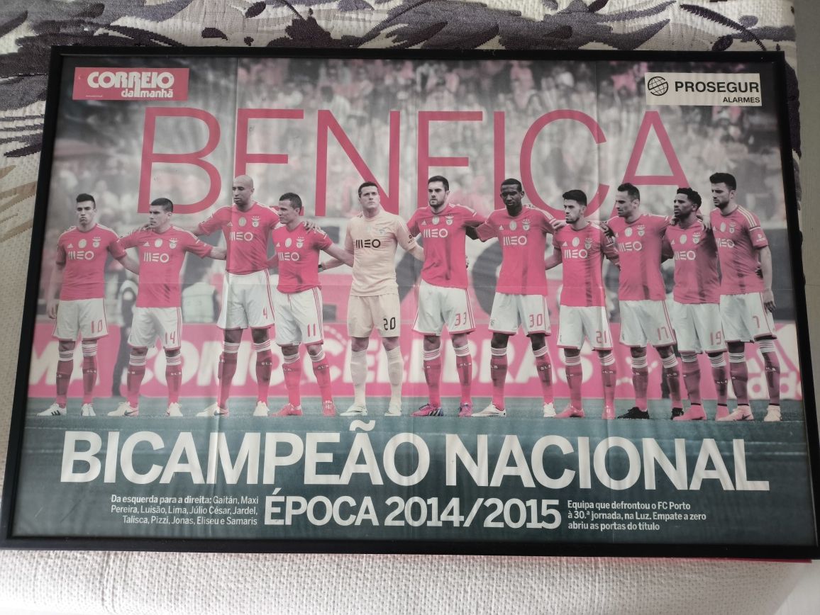 Quadros Benfica campeão