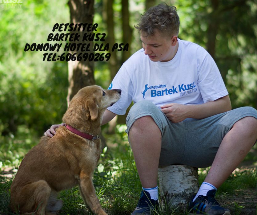 Petsitter Warszawa Domowe Hotelowanie Psa
