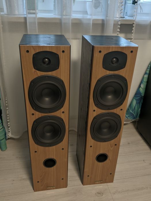 kolumny Tannoy Mercury M4 - zadbane