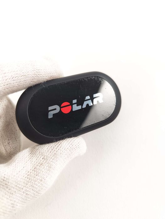 Czujnik tętna Polar Equine do analizy chodu koni