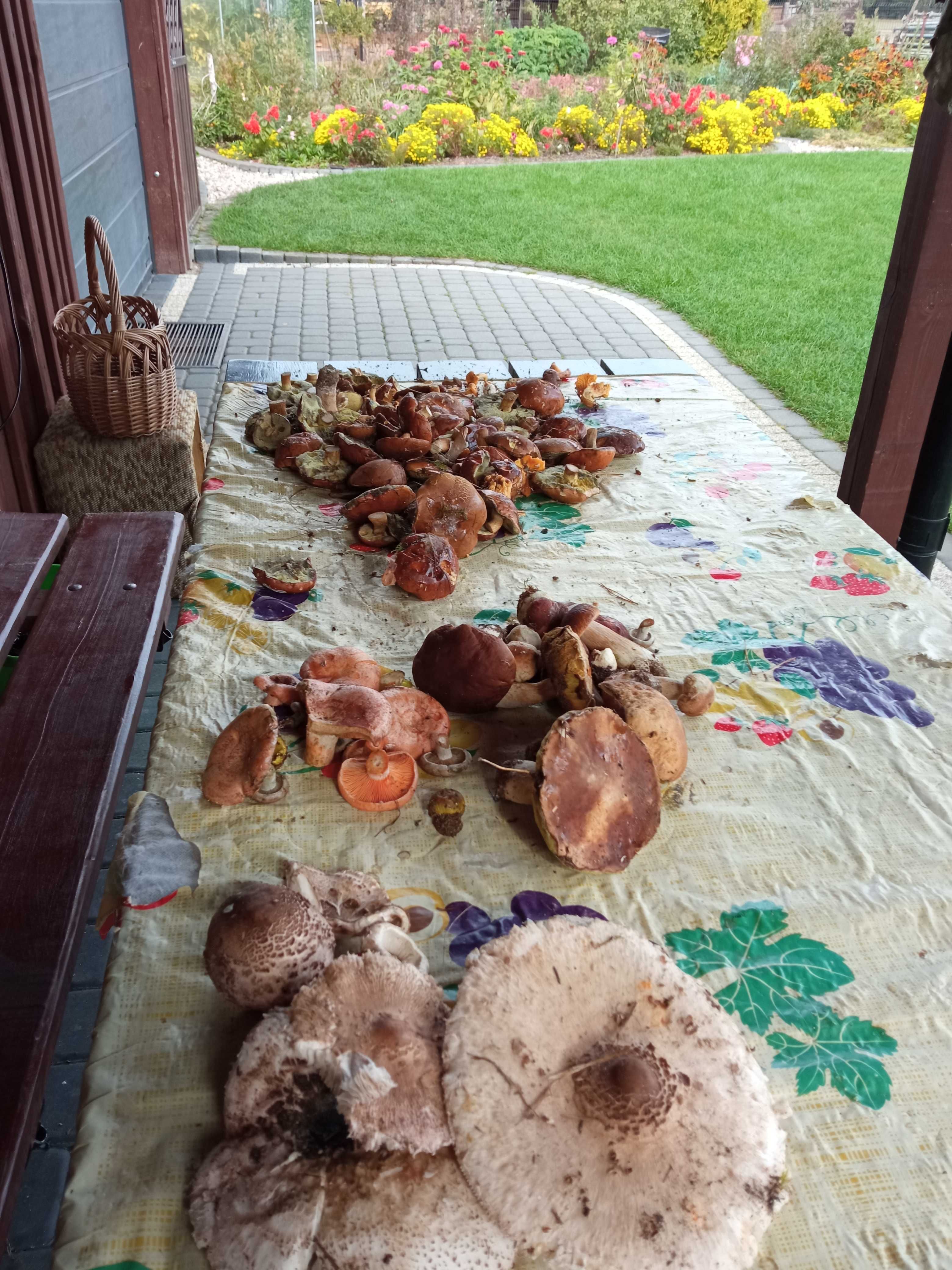 Agroturystyka Kaszuby, Domek na Kaszubach nad Jeziorem (Wolne Terminy)