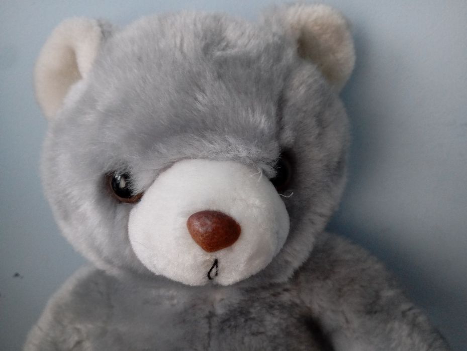 Urso de peluche, brinquedo
