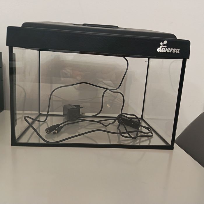 Akwarium Diversa 12 litrów