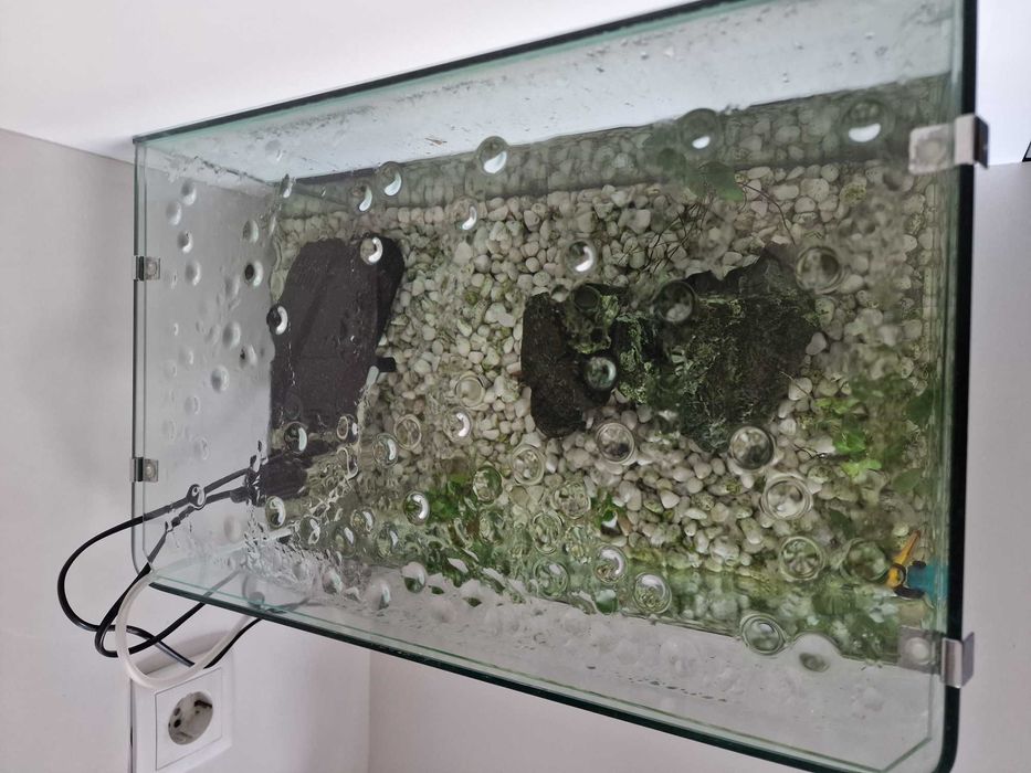 Aquário completo com tampa