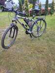 Rower Kross evado 1.0
