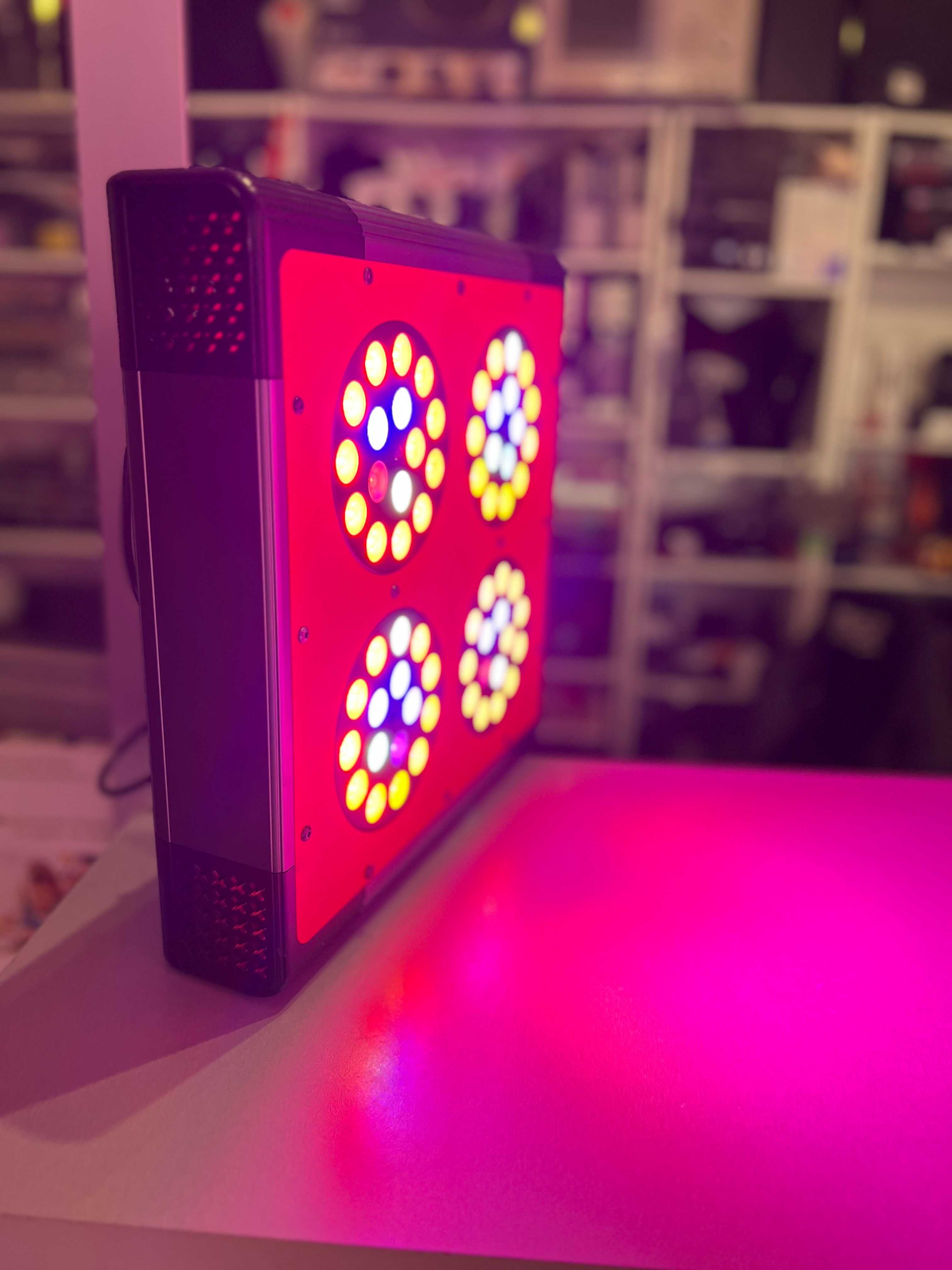Apollo Plus 4 System oświetleniowy do uprawy w pomieszczeniach.