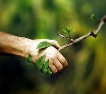 Sok syrop zakwas przytulia pokrzywa Bez oxymel miodunka z Podlasia