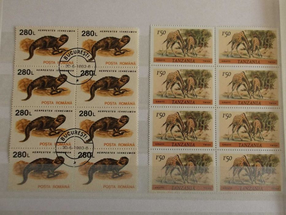 Álbum de selos com o tema Fauna II