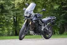 Triumph Tiger Triumph Tiger 800