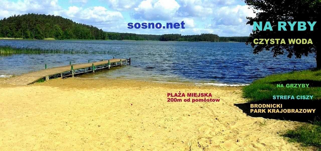 Domek kempingowy nad jeziorem płot, linia brzegowa, 40m-pomost, plaza