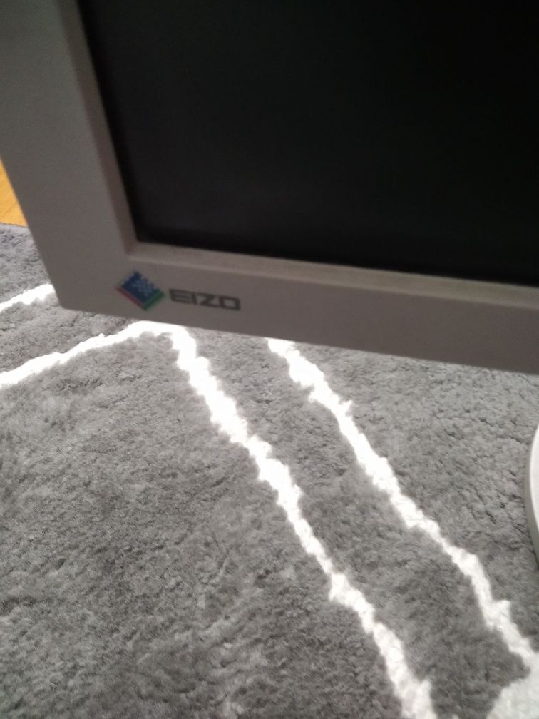 Monitor EIZO sprawny