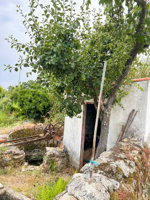 Terreno com 3.400 m2 para venda em Penamacor