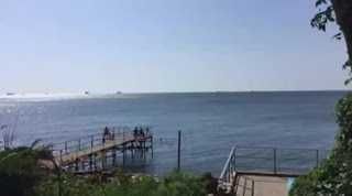 Дача Ковалевского  Продам  дом -дачу  первая  линия  моря Л.Д.