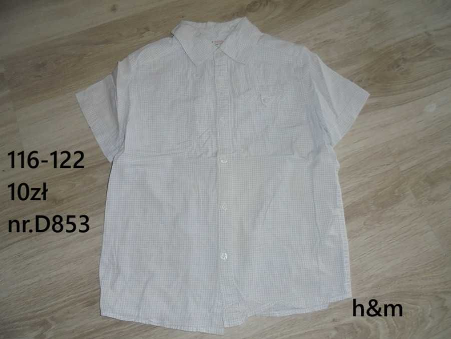Koszula biała w kratkę 116-122 h&m