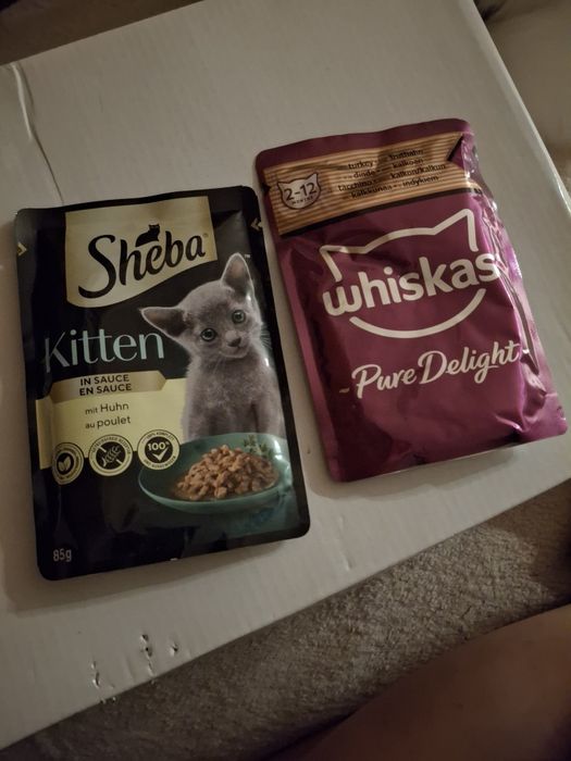 Sheba i Whiskas Kitten mokra karma dla kociąt 85g