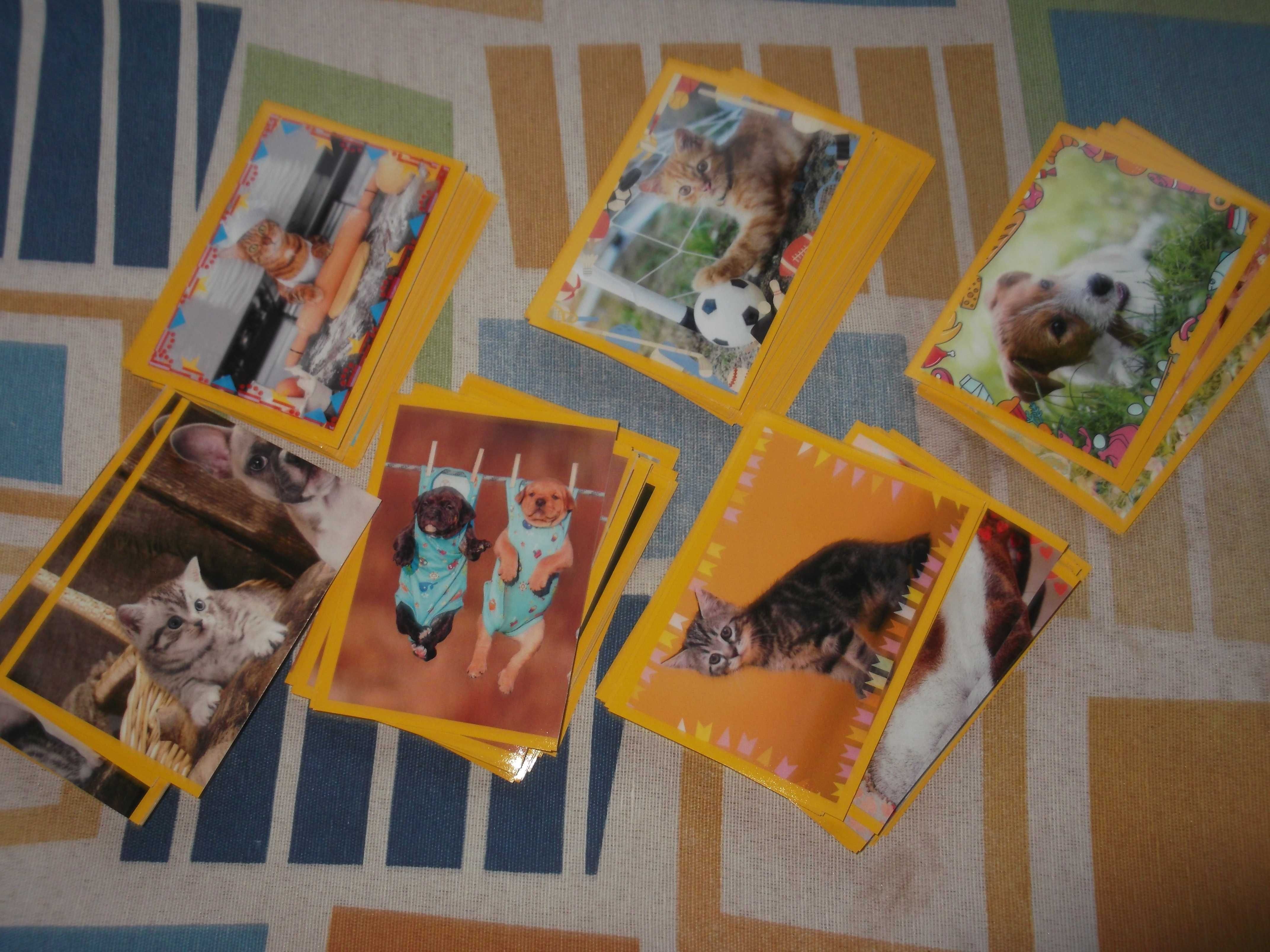 Cromos Cães e Gatos da Panini