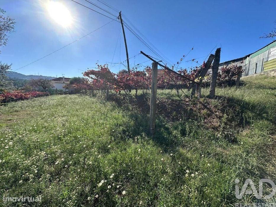 Terreno Agrícola em Fornelos e Queijada