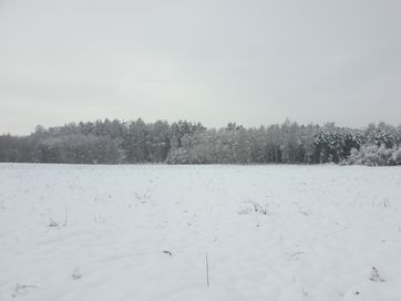 Działka budowlana z warunkami zabudowy cisza, s