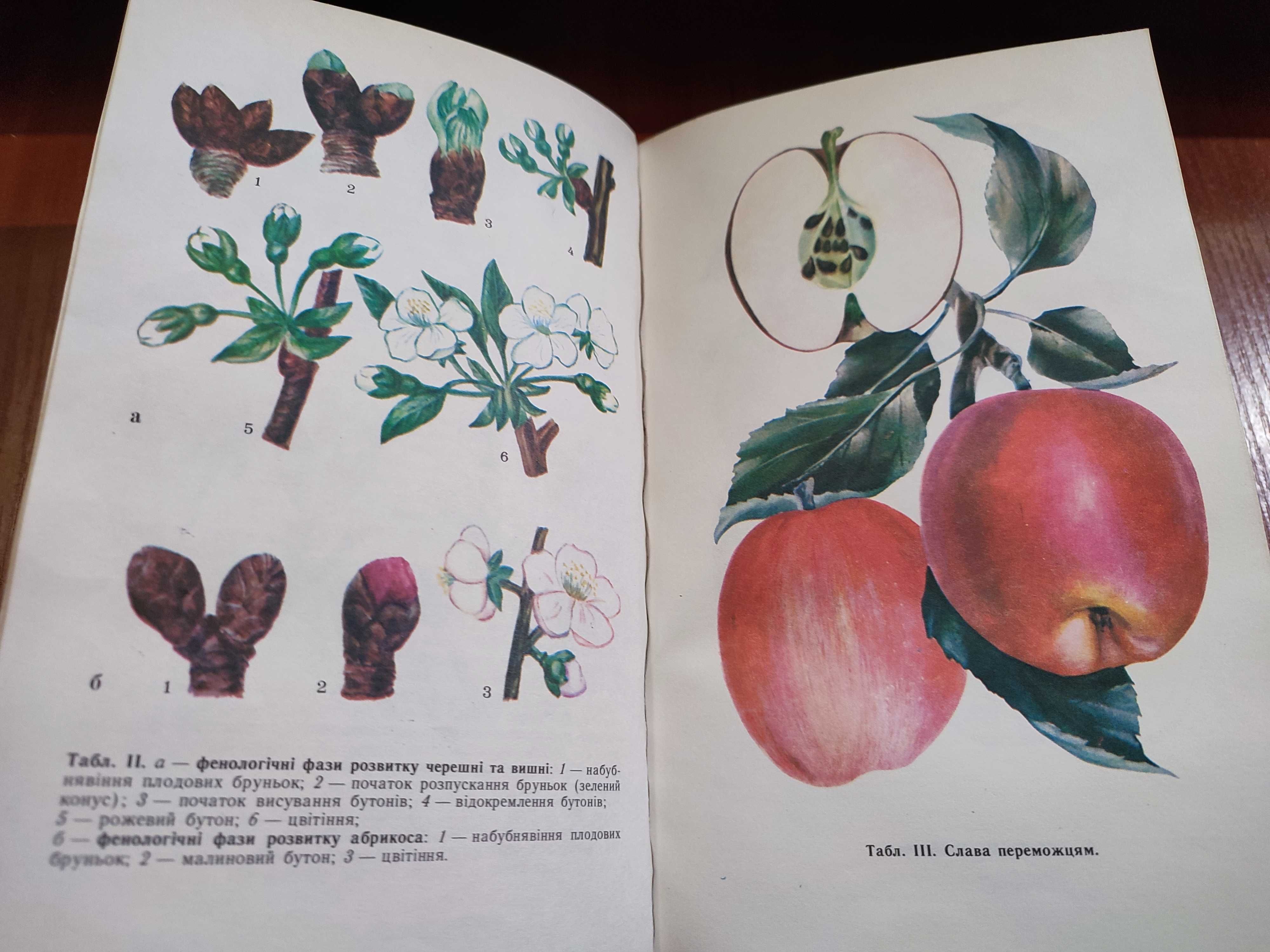 Сади колективні та присадибні Матвієвський третє видання 1989 рік