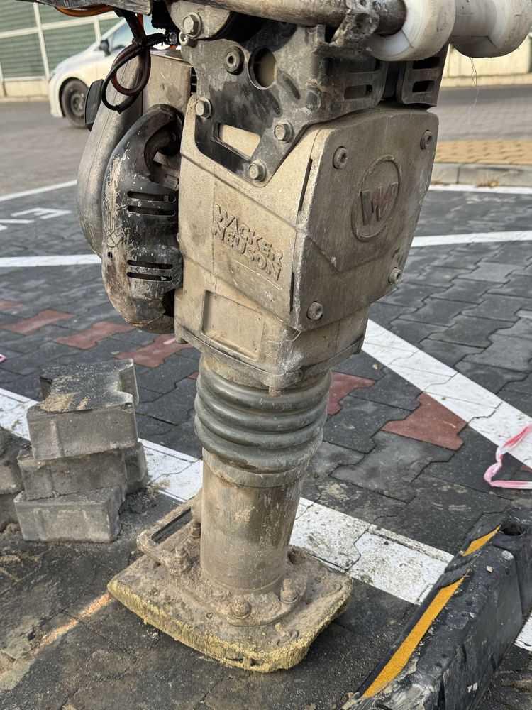 Skoczek Wacker Neuson BS 50-2i