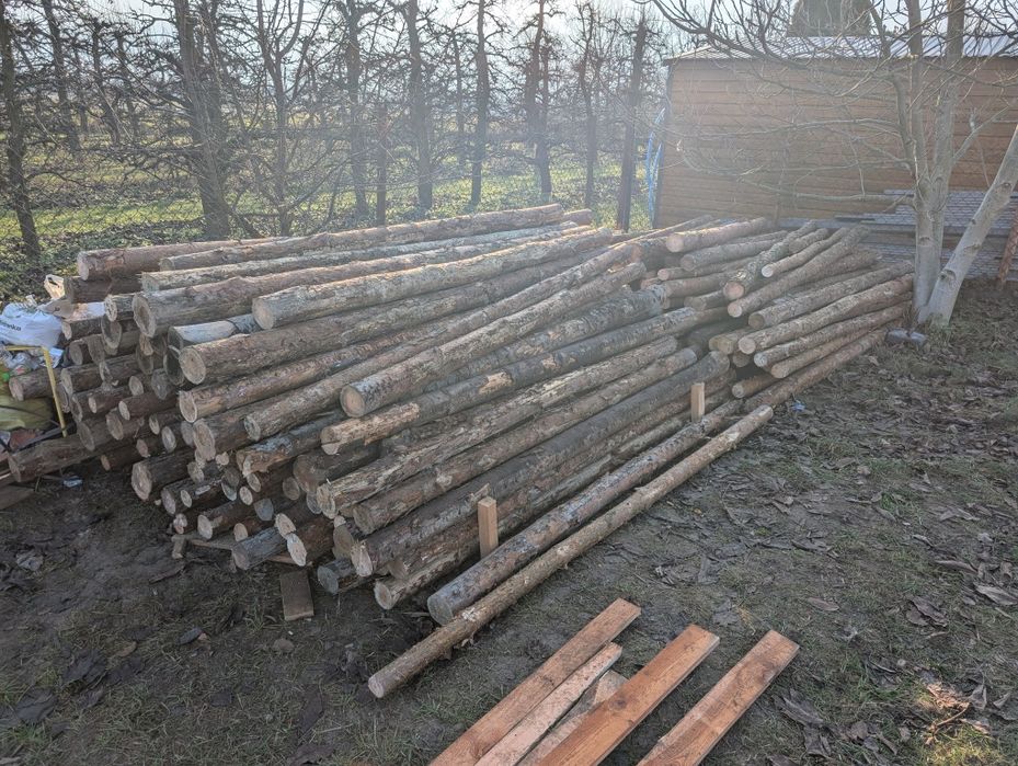 Stemple budowlane drewniane