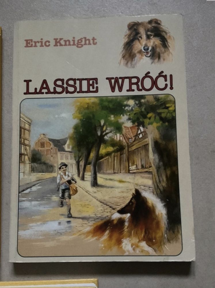 Lektura szkolna „ Lessie wróć”.