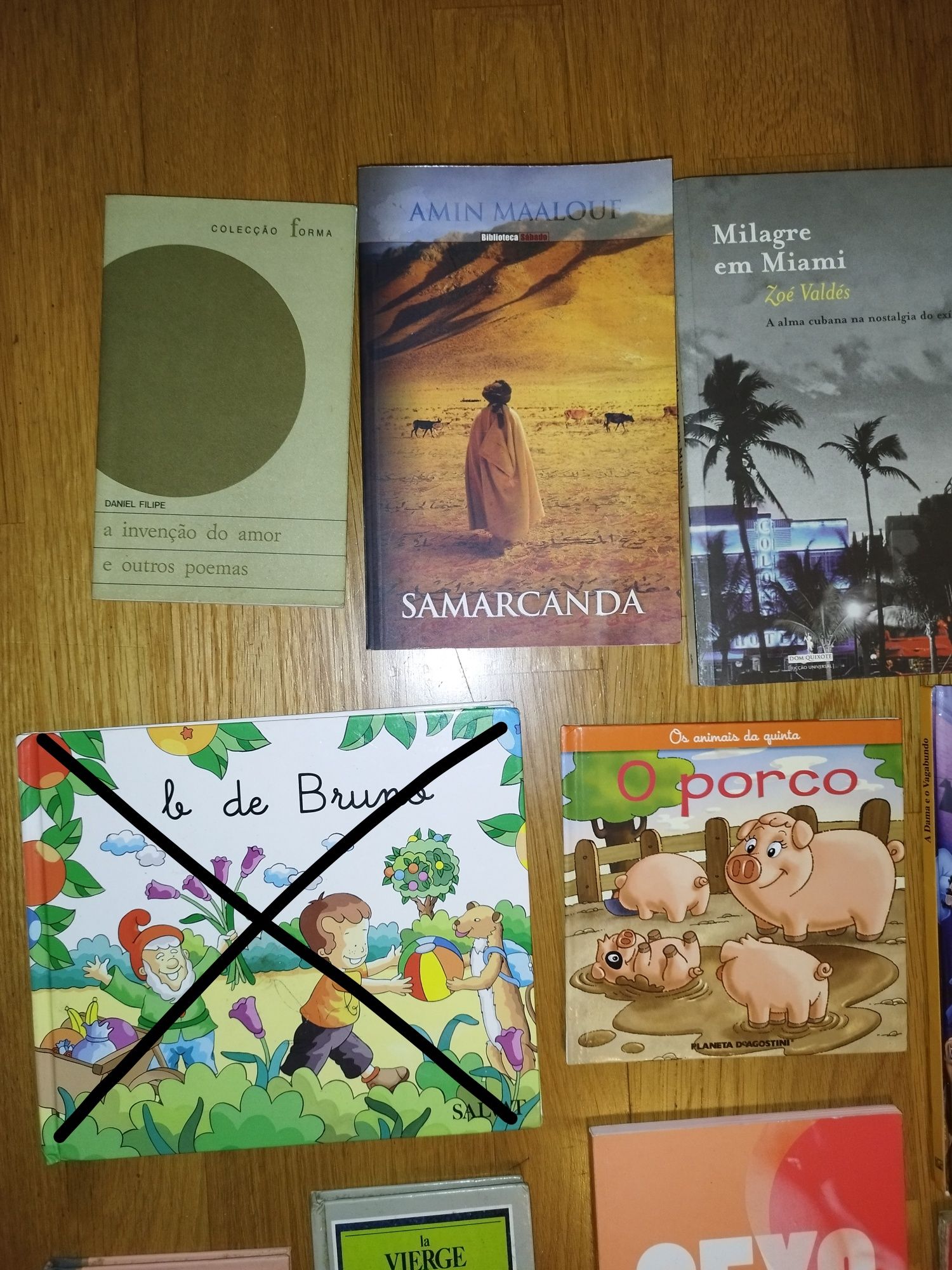 Lote de 16 livros diversos