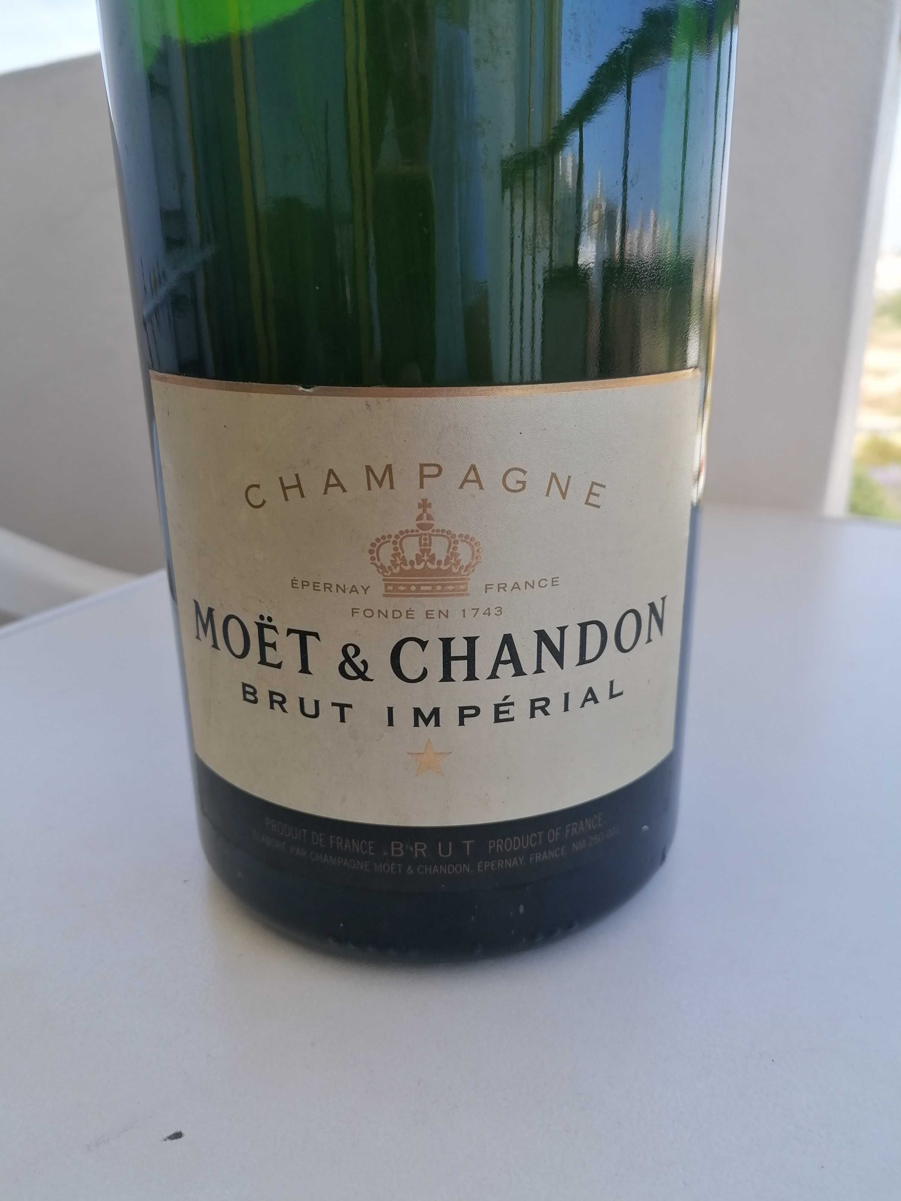 Garrafa Champanhe Moet Chandon decoraçao