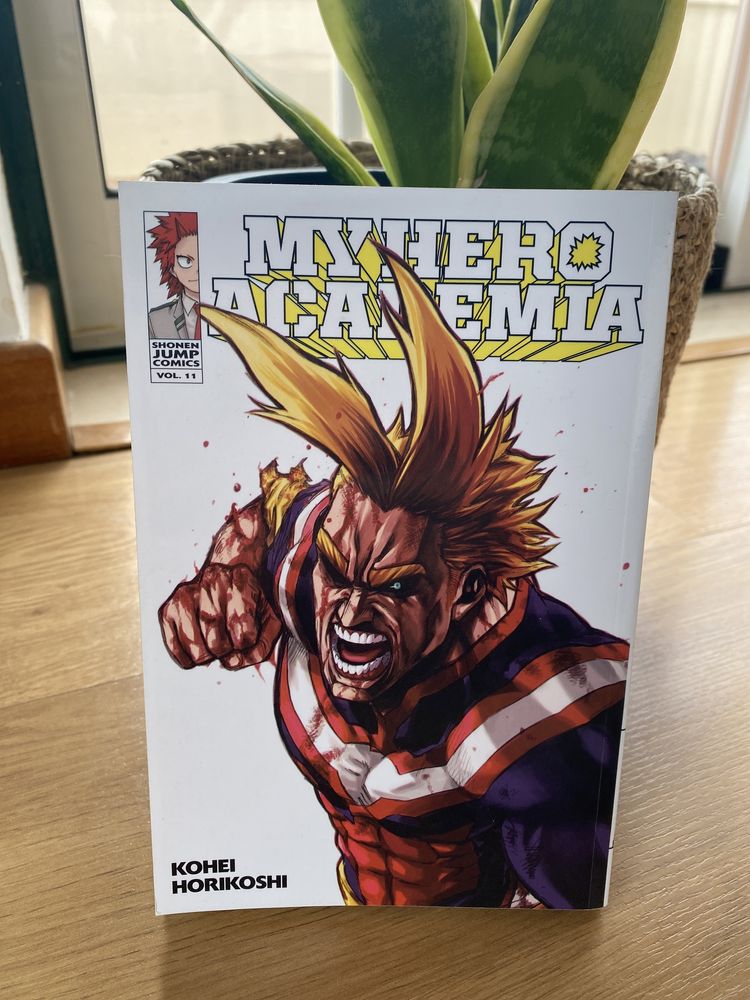 My Hero Academia 11