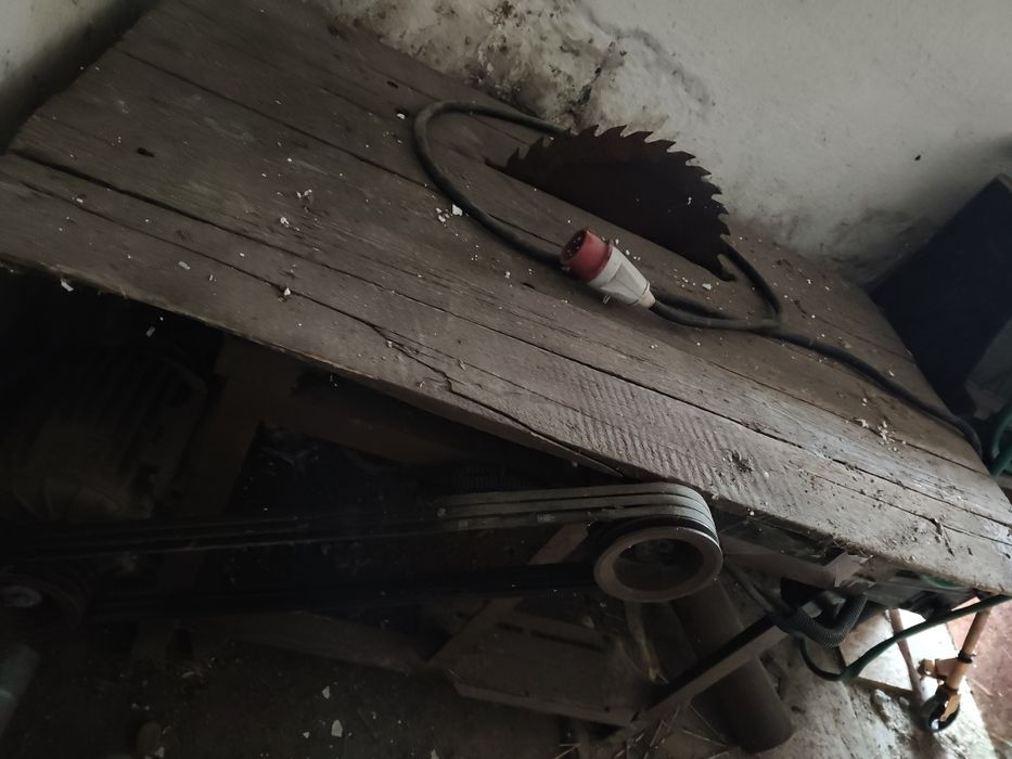 Piła Tarczowa, Krajzega, stołowa.