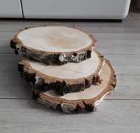 Plastry drewna brzozowego 20 cm, 15 cm.