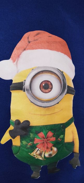 Светр, джемпер, худі на флісі на 7-8 років, Міньон, посіпака