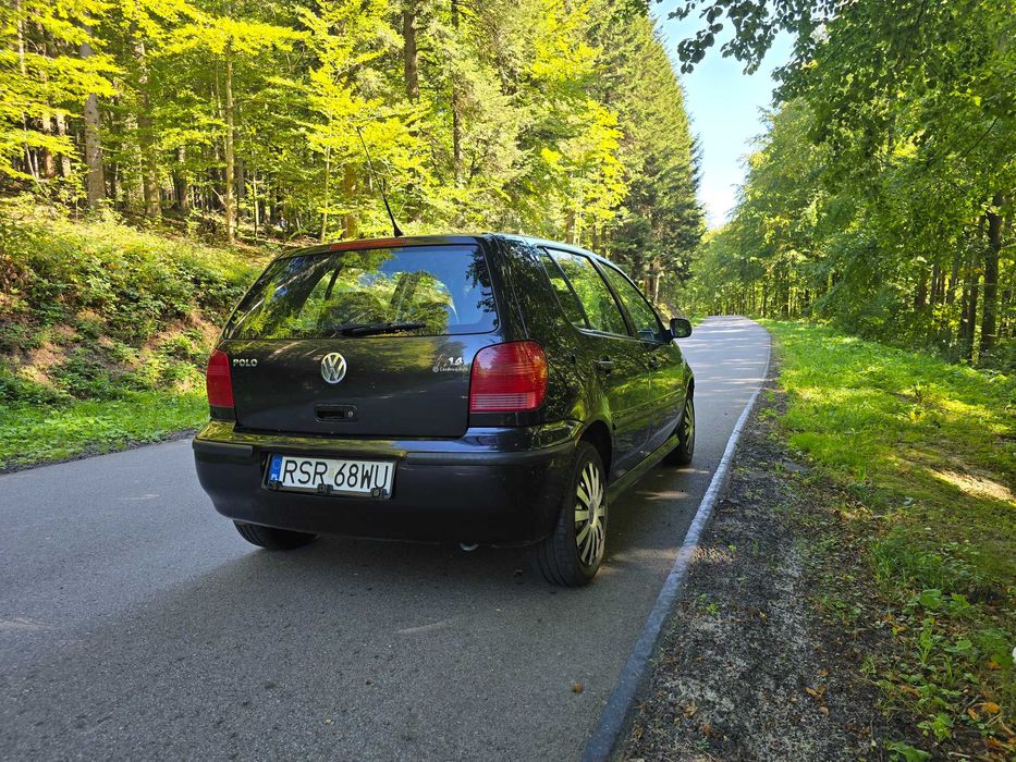 VW Polo 1.4 benzyna