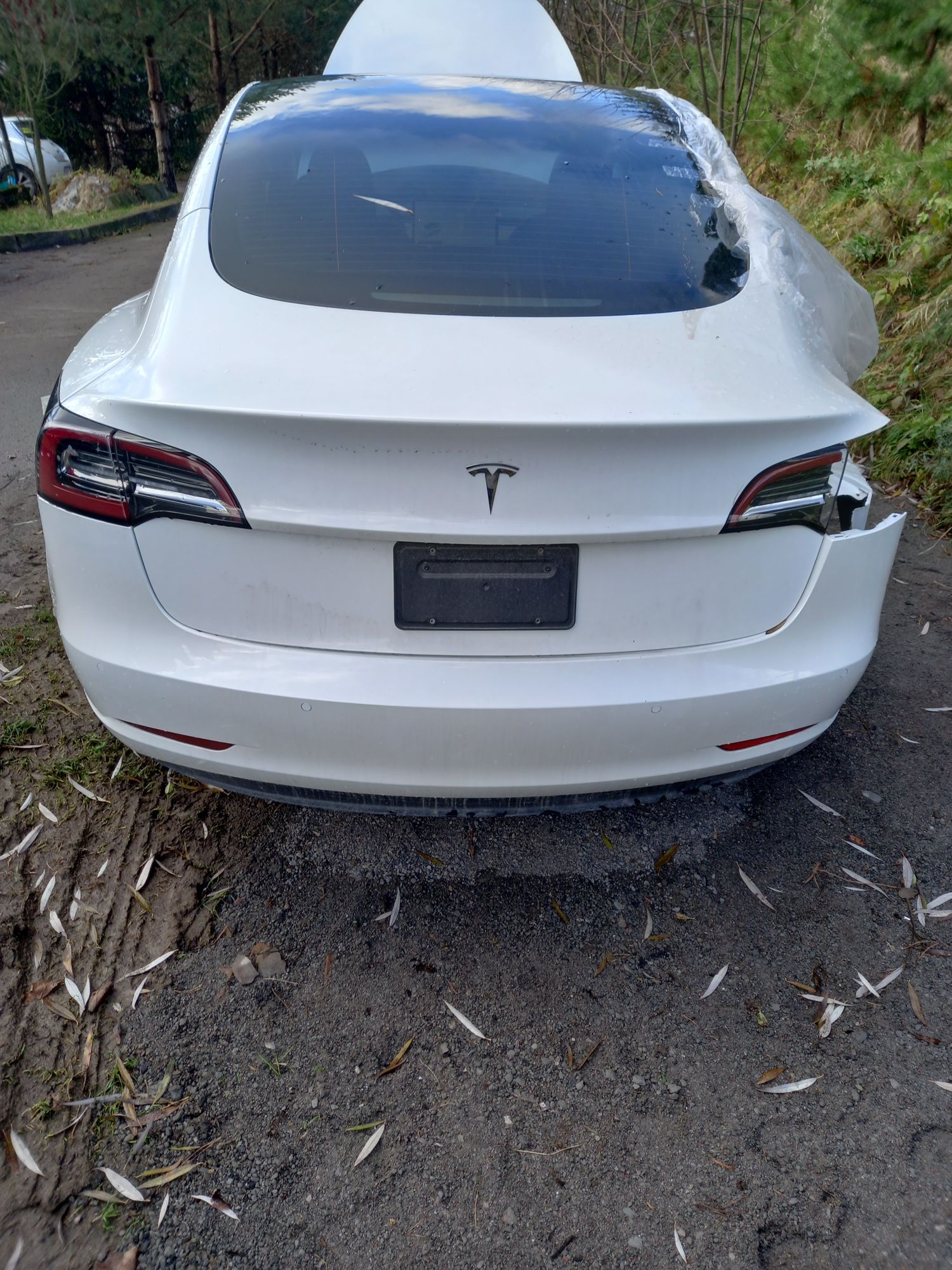 Бампер задній парктроніки радар проводка ліхтарі захист tesla model 3
