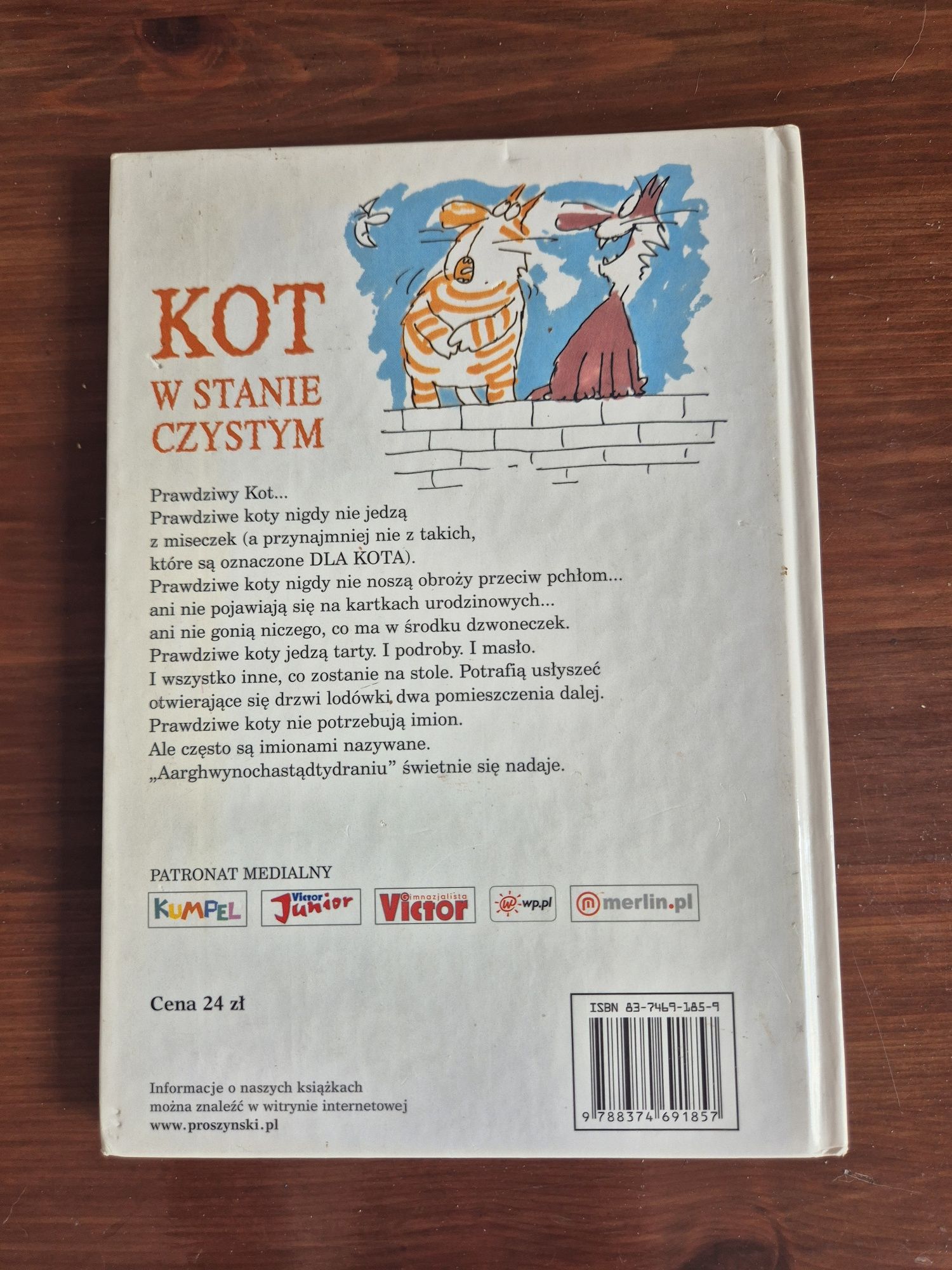 Terry Pratchett - Kot w stanie czystym