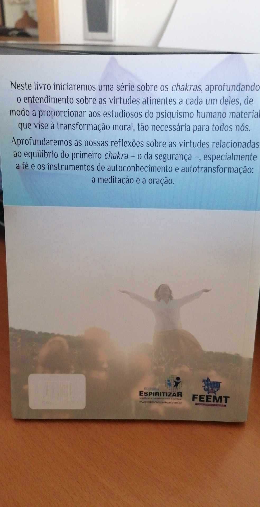 Livro A Energia dos Chakras - NOVO - Oferta de Portes