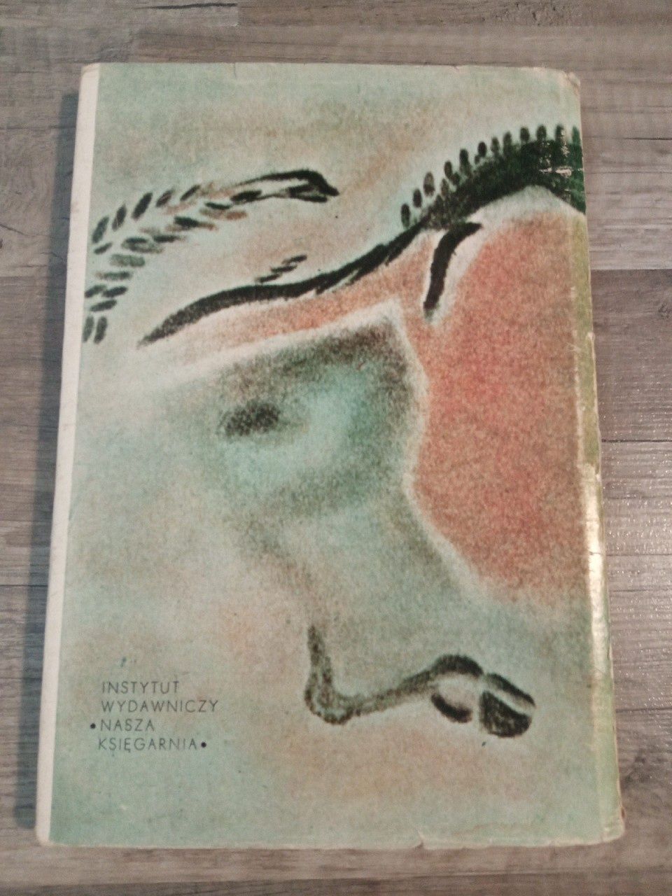 Bizon z jaskini Dewy Jerzy Cepik 1974