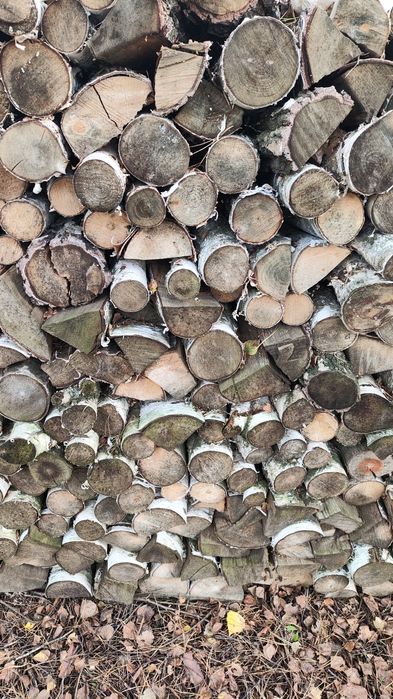 Brzoza- drewno opałowe