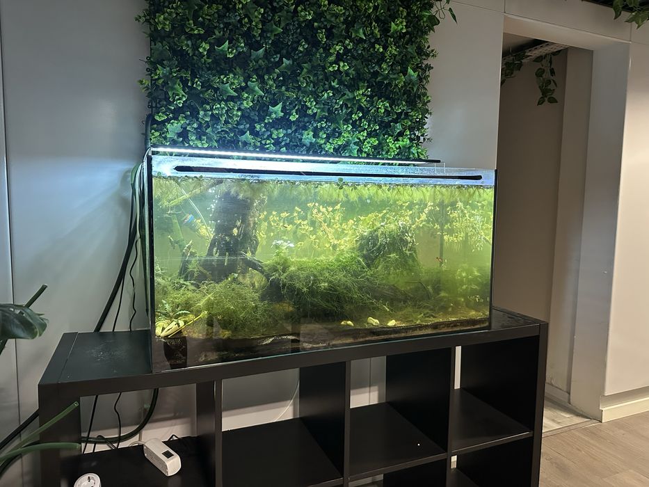 Aquário 1m completo c/ LED + acessórios — despachar em Gondomar