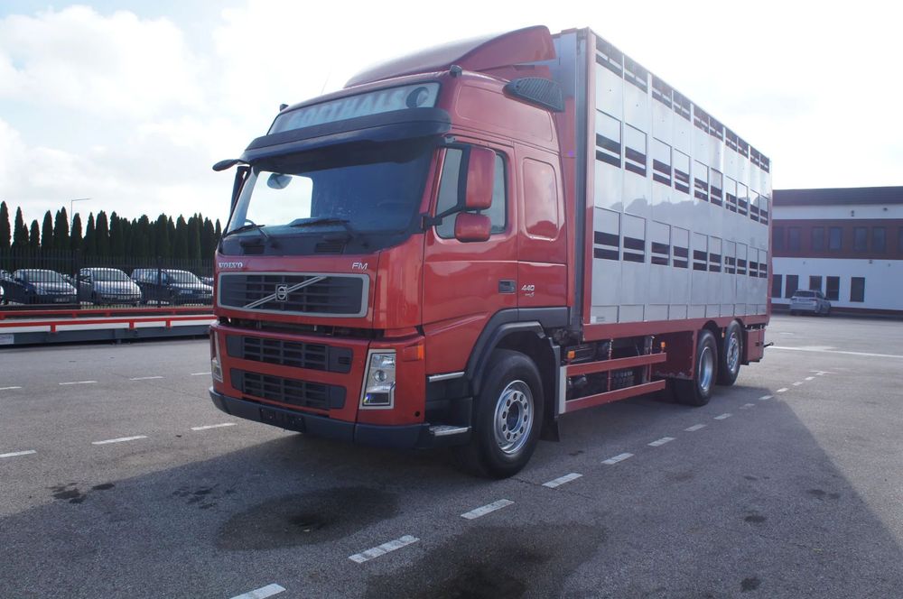 Volvo FM 440  Volvo FM 440 do przewozu żywca/zwierząt