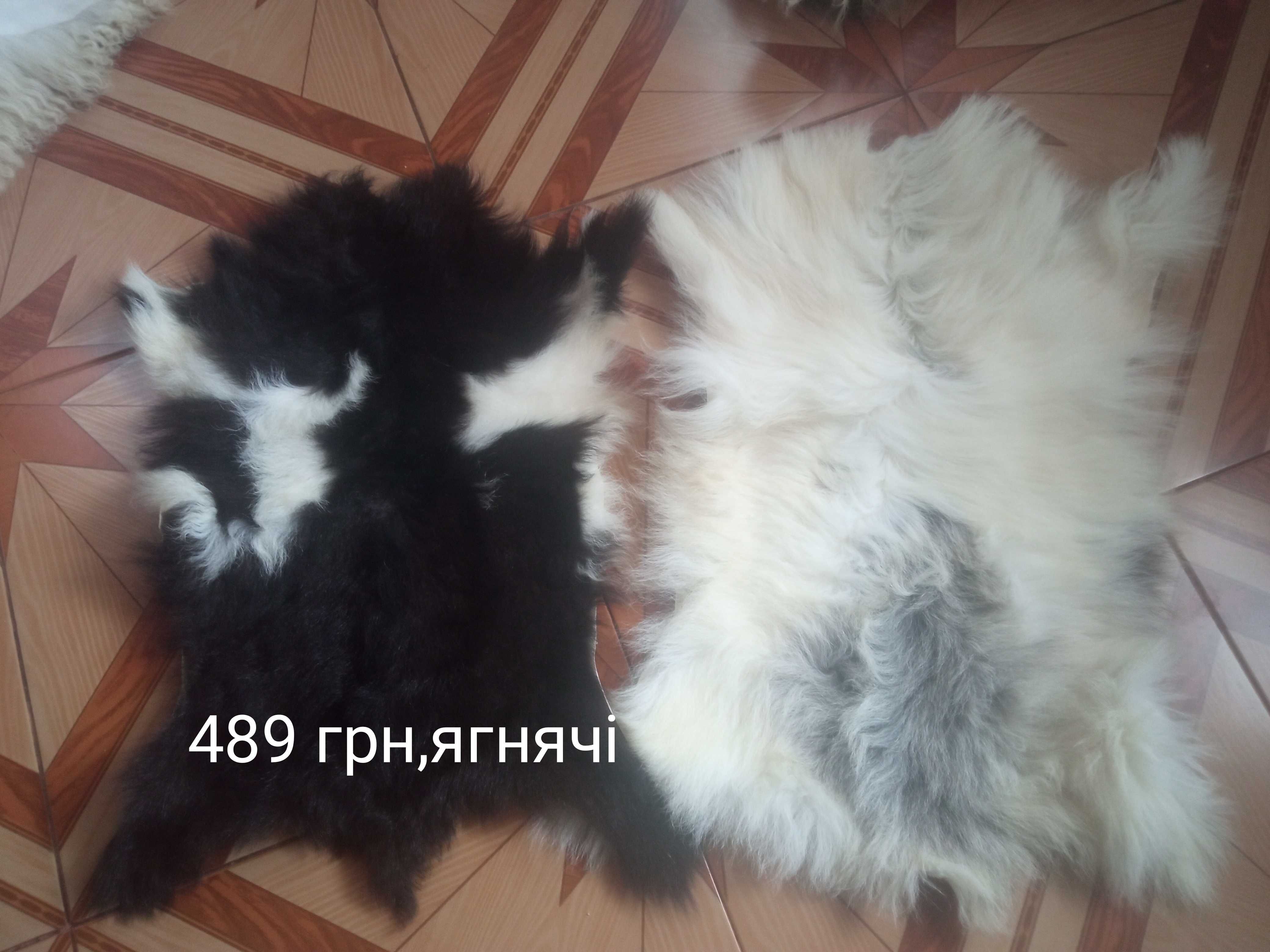 Шкурки натуральні овечі,козячі,кролячі самі робим,від 200 грн.