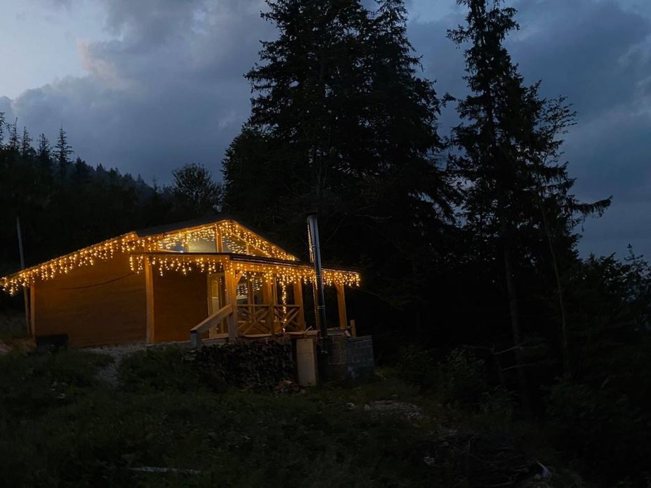 Відпочинок в Карпатах