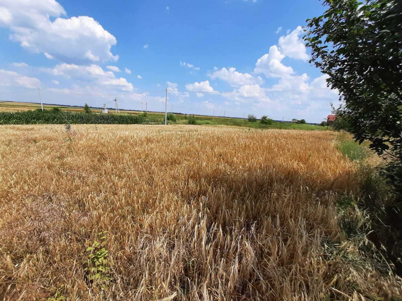 продам участок під забудову приватного будинку в с. В. Стариця