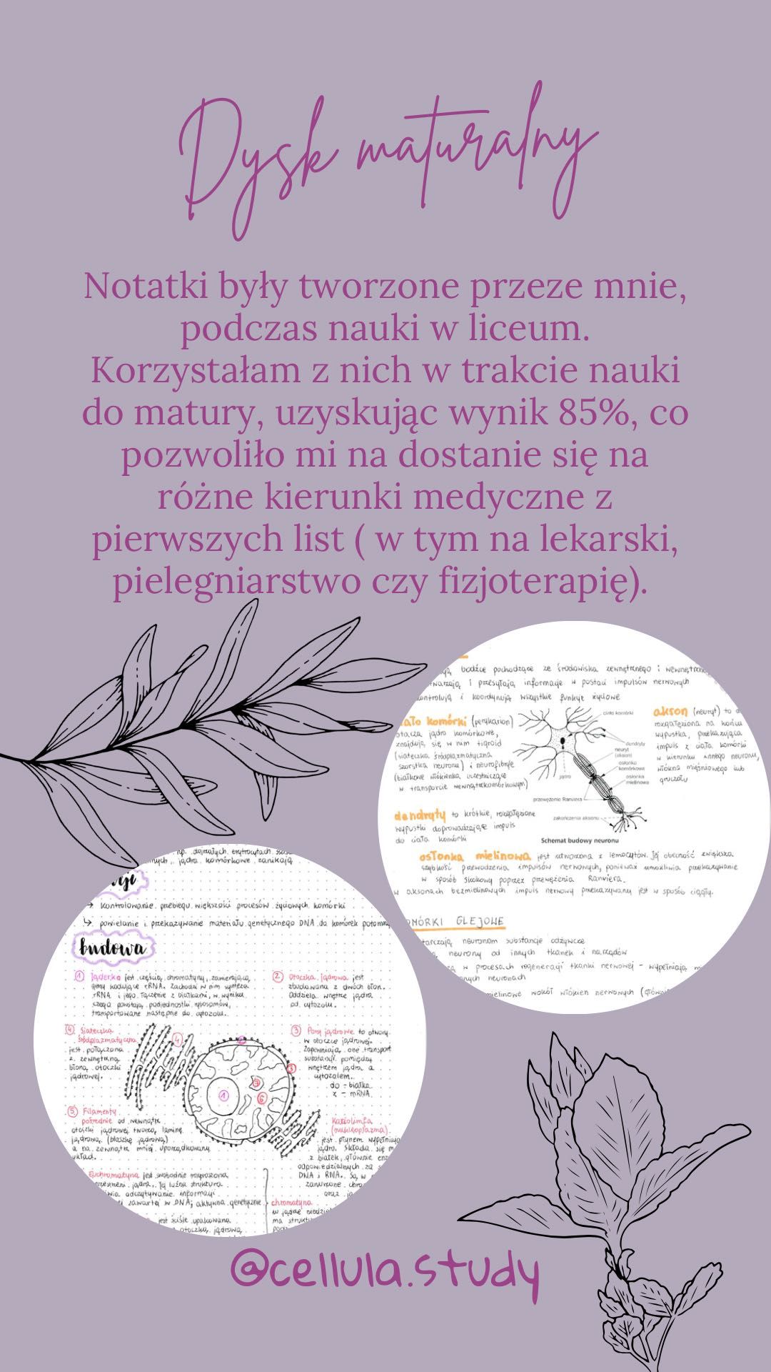 Notatki biologia