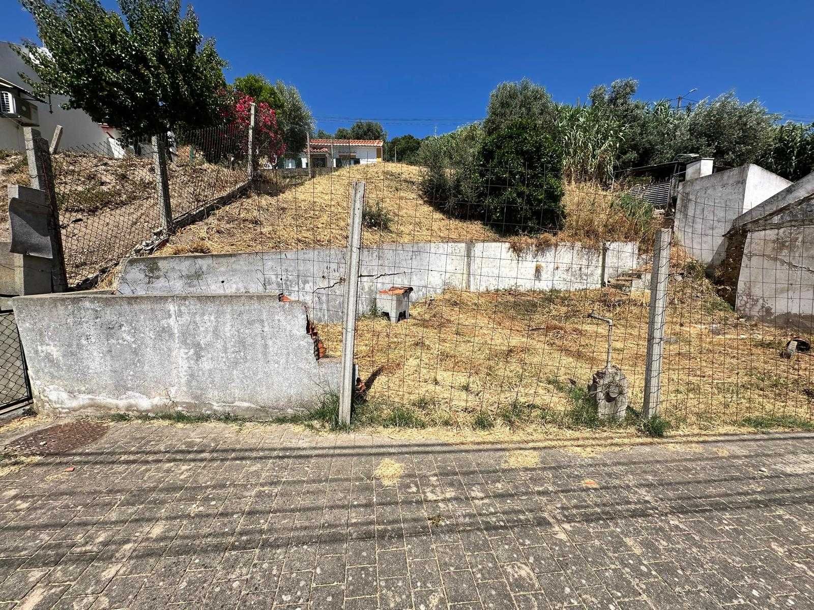 Terreno na Quinta da Coutada Chamusca