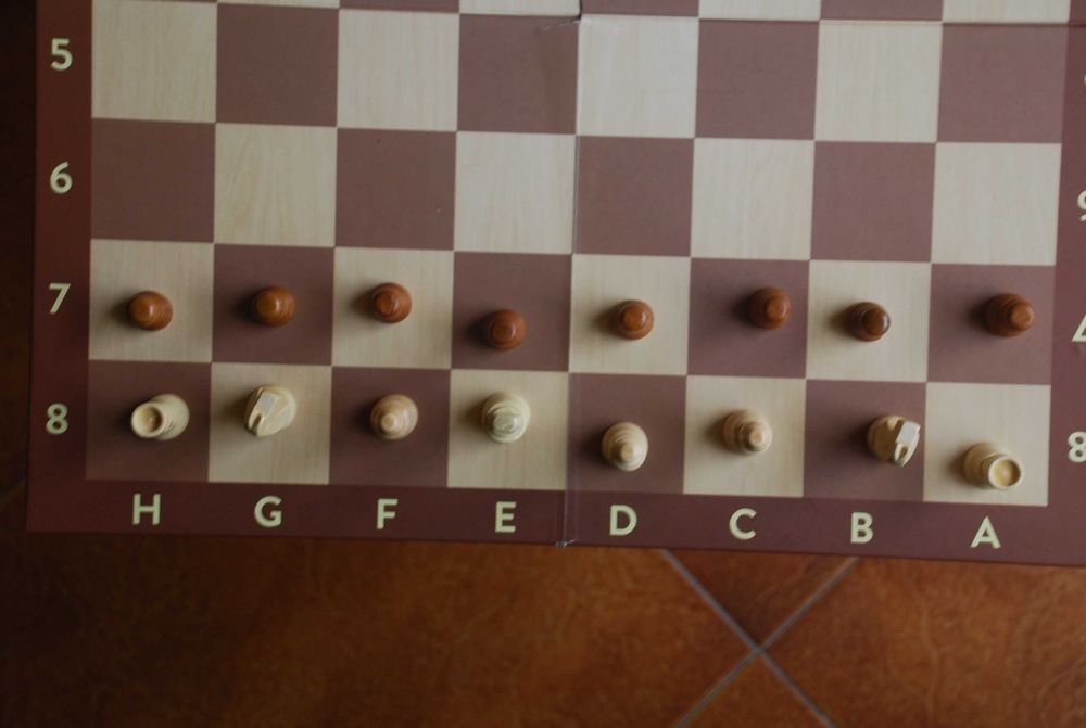 Xadrez Olivo completo